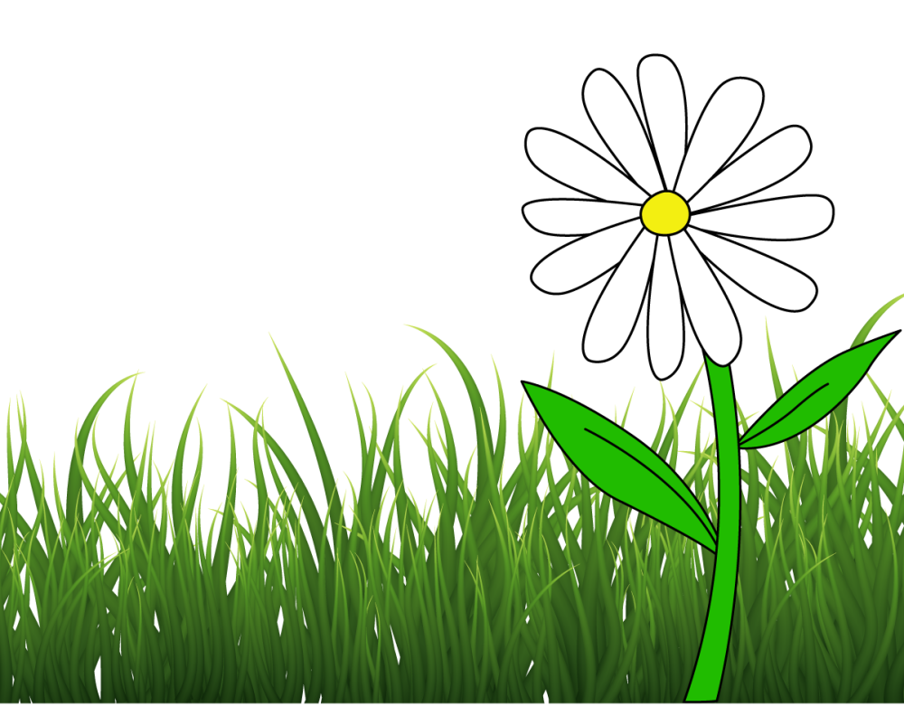 christophe-jardin