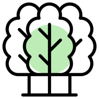 des-arbres