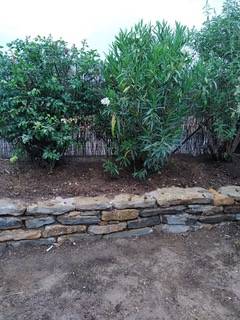 IMG_20220623_103321