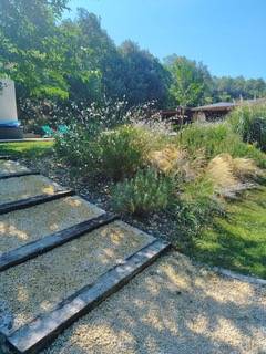 IMG_20220726_104425